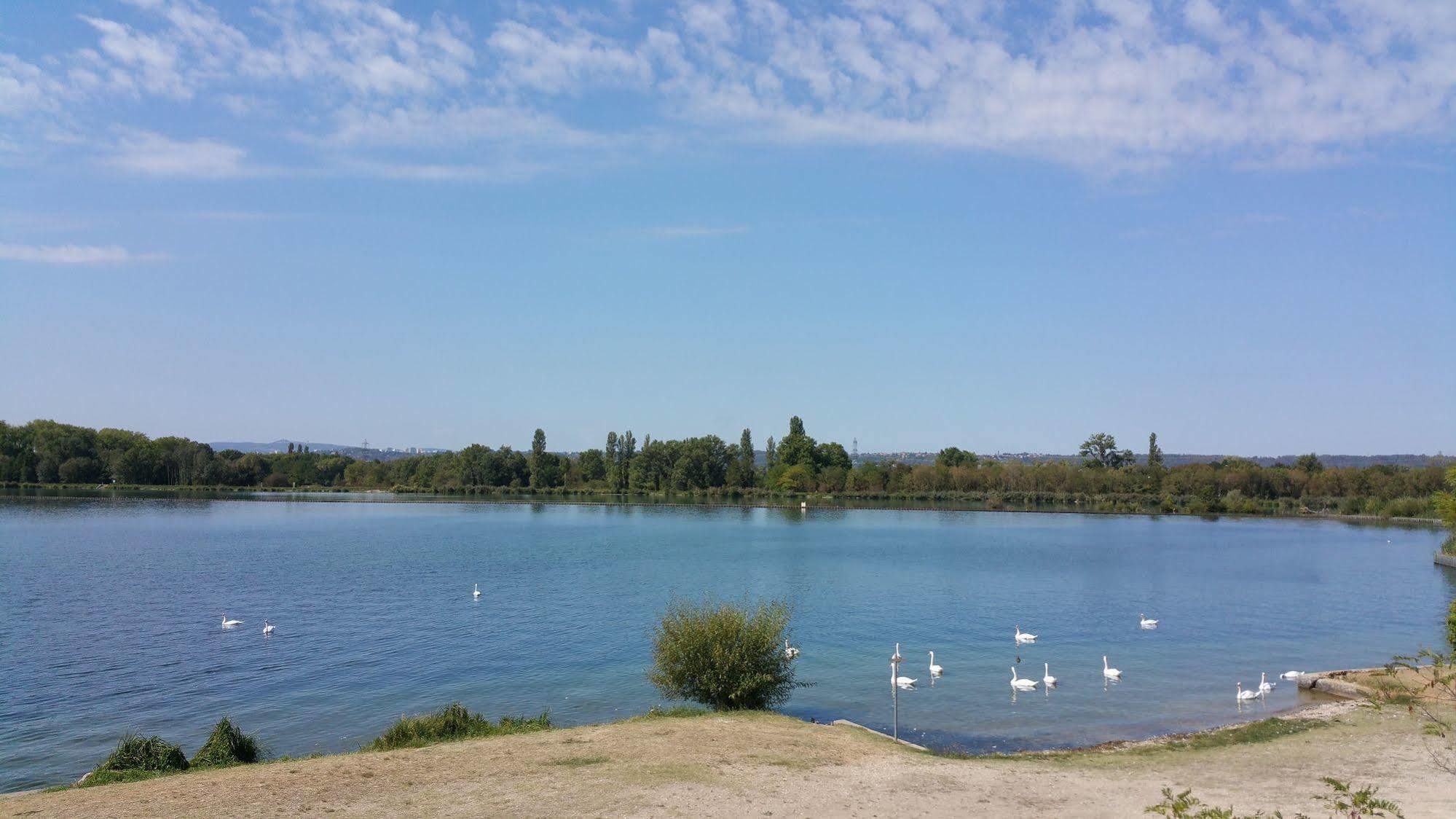 De Plein Air Les Voiles Du Grand Large 3*